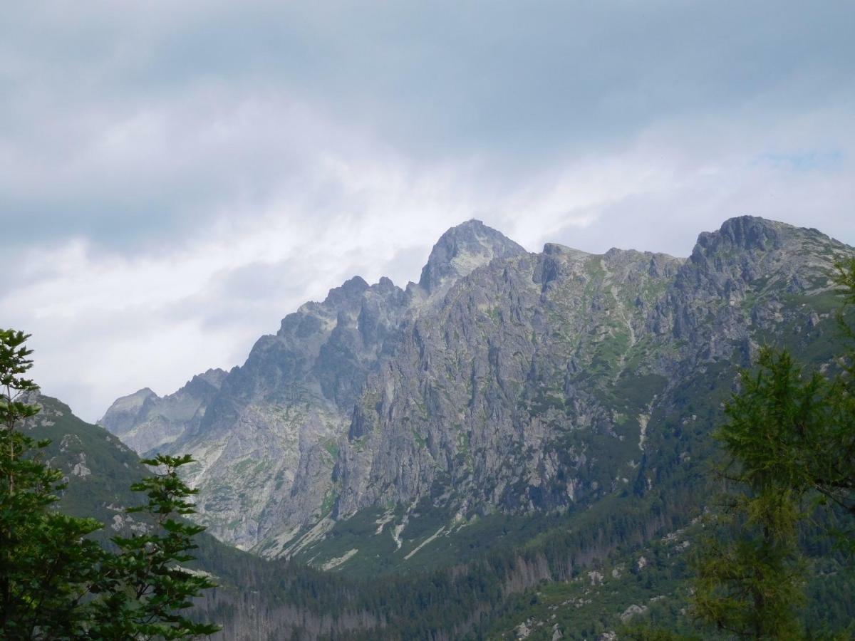 High Tatras - Patris 27 Apartment Tatranska Strba Bagian luar foto